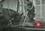 Immagine di Cavalli Neufchateau Francia, 1918, secondo 51 filmato di repertorio 65675065327