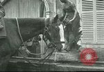 Immagine di Cavalli Neufchateau Francia, 1918, secondo 55 filmato di repertorio 65675065327