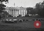 Standbild Woodrow Wilson Washington DC USA, 1918, aus Sekunde 4 historischem Filmmaterial Videoclip 65675065338