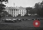 Standbild Woodrow Wilson Washington DC USA, 1918, aus Sekunde 5 historischem Filmmaterial Videoclip 65675065338