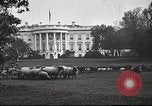 Standbild Woodrow Wilson Washington DC USA, 1918, aus Sekunde 6 historischem Filmmaterial Videoclip 65675065338