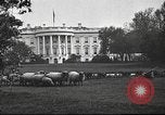Standbild Woodrow Wilson Washington DC USA, 1918, aus Sekunde 7 historischem Filmmaterial Videoclip 65675065338