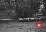 Standbild Woodrow Wilson Washington DC USA, 1918, aus Sekunde 35 historischem Filmmaterial Videoclip 65675065338