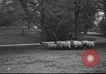 Standbild Woodrow Wilson Washington DC USA, 1918, aus Sekunde 36 historischem Filmmaterial Videoclip 65675065338