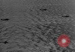 Image of Battle of Crete Crete Greece, 1941, second 40 stock footage video 65675065385