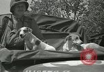 Immagine di Serbatoi e la fanteria Francia, 1944, secondo 43 filmato di repertorio 65675065389