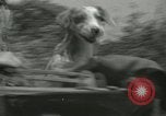 Immagine di Serbatoi e la fanteria Francia, 1944, secondo 45 filmato di repertorio 65675065389