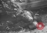Image of burned bodies France, 1944, second 18 stock footage video 65675065390