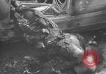 Image of burned bodies France, 1944, second 19 stock footage video 65675065390