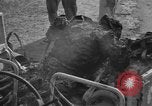 Image of burned bodies France, 1944, second 25 stock footage video 65675065390
