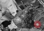 Image of burned bodies France, 1944, second 26 stock footage video 65675065390