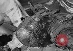 Image of burned bodies France, 1944, second 27 stock footage video 65675065390