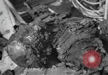 Image of burned bodies France, 1944, second 28 stock footage video 65675065390