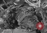 Image of burned bodies France, 1944, second 29 stock footage video 65675065390