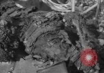 Image of burned bodies France, 1944, second 30 stock footage video 65675065390