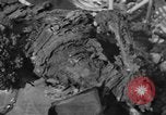 Image of burned bodies France, 1944, second 31 stock footage video 65675065390