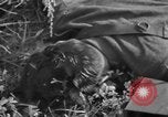 Image of burned bodies France, 1944, second 33 stock footage video 65675065390