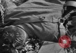 Image of burned bodies France, 1944, second 34 stock footage video 65675065390