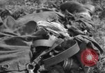 Image of burned bodies France, 1944, second 37 stock footage video 65675065390
