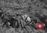 Image of burned bodies France, 1944, second 39 stock footage video 65675065390