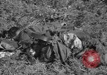 Image of burned bodies France, 1944, second 40 stock footage video 65675065390