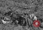 Image of burned bodies France, 1944, second 41 stock footage video 65675065390