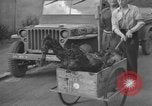 Image of burned bodies France, 1944, second 42 stock footage video 65675065390
