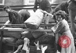 Immagine di Prigionieri tedeschi Francia, 1944, secondo 12 filmato di repertorio 65675065393