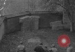 Immagine di Esecuzione delle spie Toul Francia, 1944, secondo 17 filmato di repertorio 65675065397