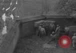 Immagine di Esecuzione delle spie Toul Francia, 1944, secondo 24 filmato di repertorio 65675065397