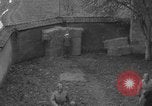 Immagine di Esecuzione delle spie Toul Francia, 1944, secondo 41 filmato di repertorio 65675065397