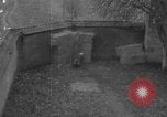 Immagine di Esecuzione delle spie Toul Francia, 1944, secondo 48 filmato di repertorio 65675065397