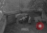 Immagine di Esecuzione delle spie Toul Francia, 1944, secondo 43 filmato di repertorio 65675065398