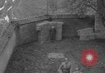 Immagine di Esecuzione delle spie Toul Francia, 1944, secondo 57 filmato di repertorio 65675065398