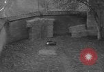 Immagine di Esecuzione delle spie Toul Francia, 1944, secondo 61 filmato di repertorio 65675065398