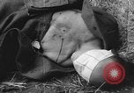 Immagine di Graham esecuzione Toul Francia, 1944, secondo 30 filmato di repertorio 65675065400