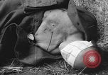 Immagine di Graham esecuzione Toul Francia, 1944, secondo 33 filmato di repertorio 65675065400