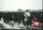 Image of Cavalry horses Nebraska United States USA, 1945, second 9 stock footage video 65675065420