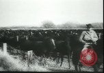 Image of Cavalry horses Nebraska United States USA, 1945, second 10 stock footage video 65675065420