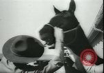 Image of Cavalry horses Nebraska United States USA, 1945, second 26 stock footage video 65675065420