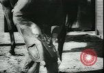 Image of Cavalry horses Nebraska United States USA, 1945, second 28 stock footage video 65675065420