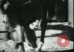 Image of Cavalry horses Nebraska United States USA, 1945, second 29 stock footage video 65675065420