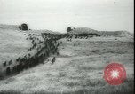 Image of Cavalry horses Nebraska United States USA, 1945, second 36 stock footage video 65675065420
