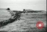 Image of Cavalry horses Nebraska United States USA, 1945, second 38 stock footage video 65675065420