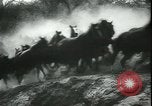 Image of Cavalry horses Nebraska United States USA, 1945, second 48 stock footage video 65675065420