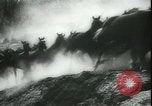 Image of Cavalry horses Nebraska United States USA, 1945, second 49 stock footage video 65675065420
