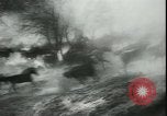 Image of Cavalry horses Nebraska United States USA, 1945, second 54 stock footage video 65675065420