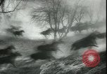 Image of Cavalry horses Nebraska United States USA, 1945, second 56 stock footage video 65675065420