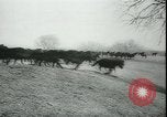 Image of Cavalry horses Nebraska United States USA, 1945, second 57 stock footage video 65675065420
