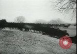 Image of Cavalry horses Nebraska United States USA, 1945, second 58 stock footage video 65675065420